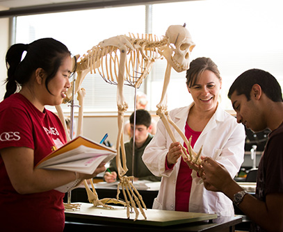 Photo of students in a lab. Link to Life Stage Gift Planner™